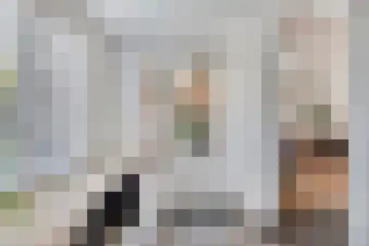 de Korenaar 81 Oirschot thumbnail 19