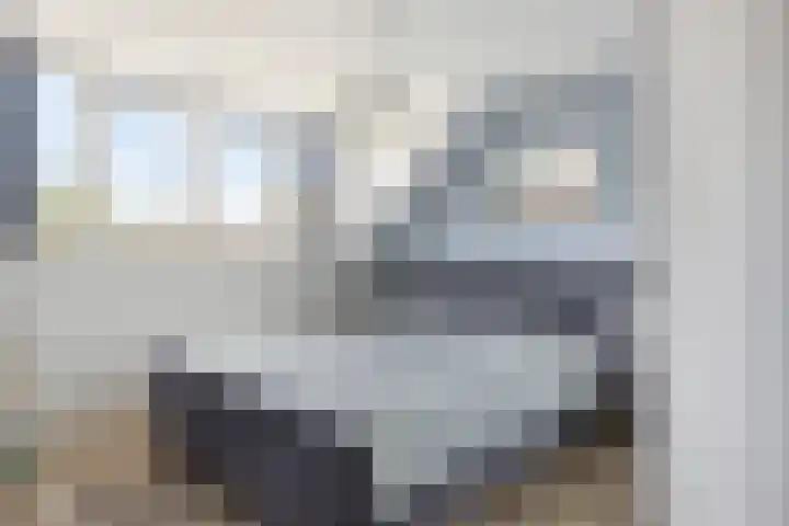 de Korenaar 81 Oirschot thumbnail 23