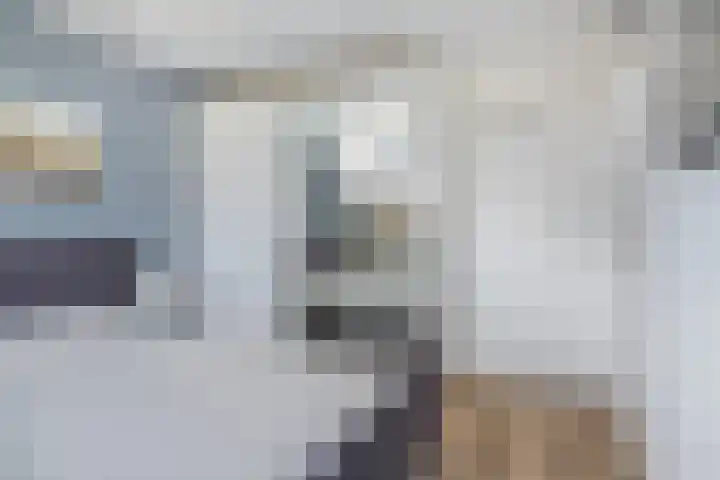 de Korenaar 81 Oirschot thumbnail 24