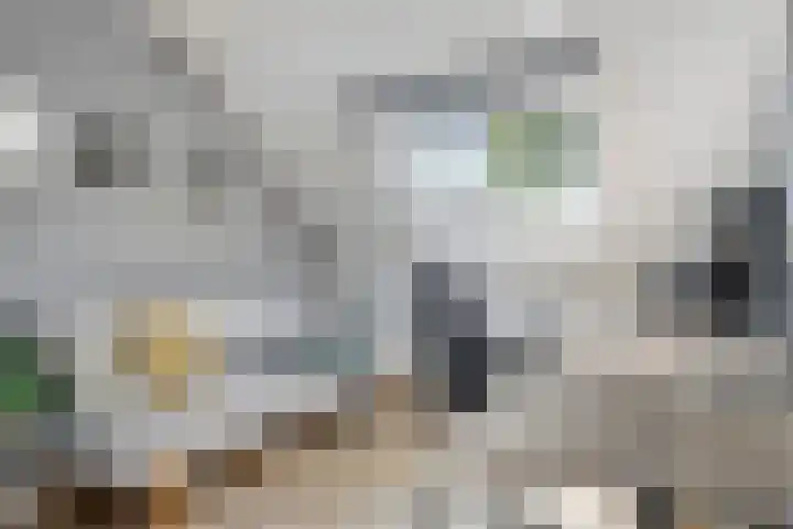 de Korenaar 81 Oirschot thumbnail 25