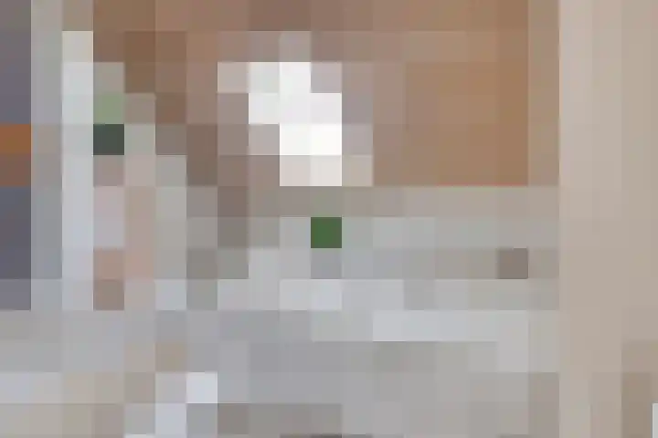 de Korenaar 81 Oirschot thumbnail 27