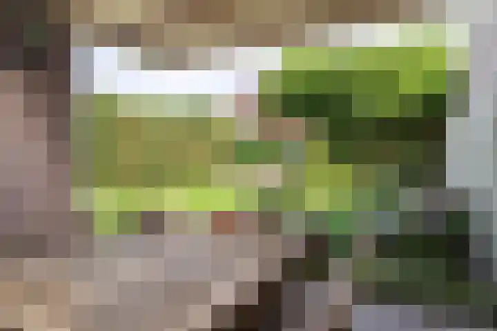 de Korenaar 81 Oirschot thumbnail 30