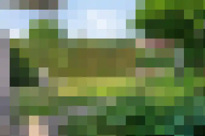 de Korenaar 81 Oirschot thumbnail 31