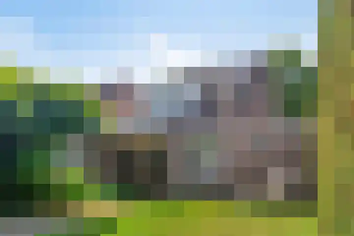 de Korenaar 81 Oirschot thumbnail 32