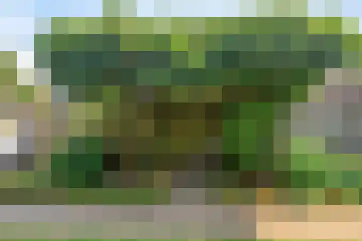 de Korenaar 81 Oirschot thumbnail 33
