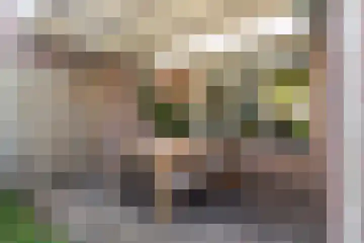 de Korenaar 81 Oirschot thumbnail 34