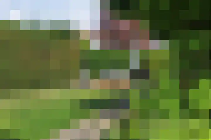 de Korenaar 81 Oirschot thumbnail 35
