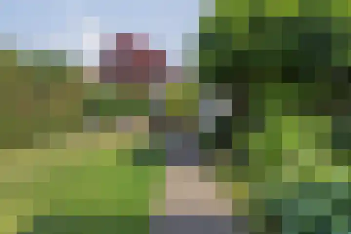 de Korenaar 81 Oirschot thumbnail 36