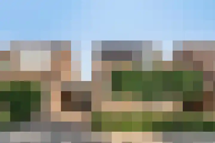 de Korenaar 81 Oirschot thumbnail 38