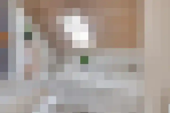 de Korenaar 81 Oirschot thumbnail 4