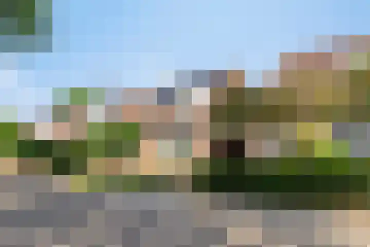 de Korenaar 81 Oirschot thumbnail 42