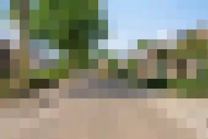 de Korenaar 81 Oirschot thumbnail 43