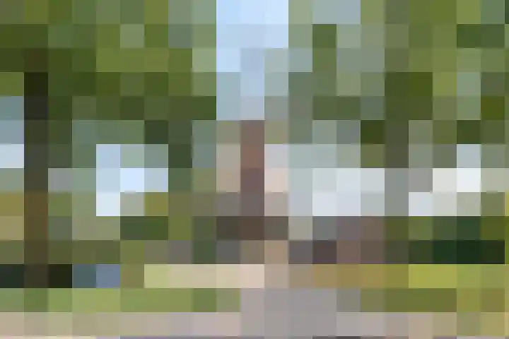 de Korenaar 81 Oirschot thumbnail 44