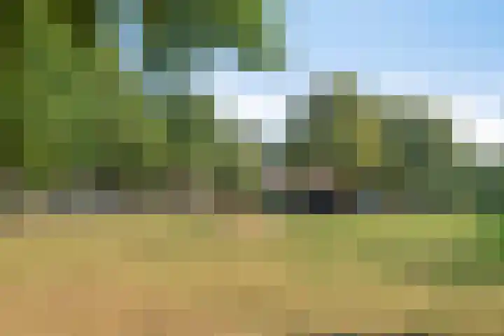 de Korenaar 81 Oirschot thumbnail 45