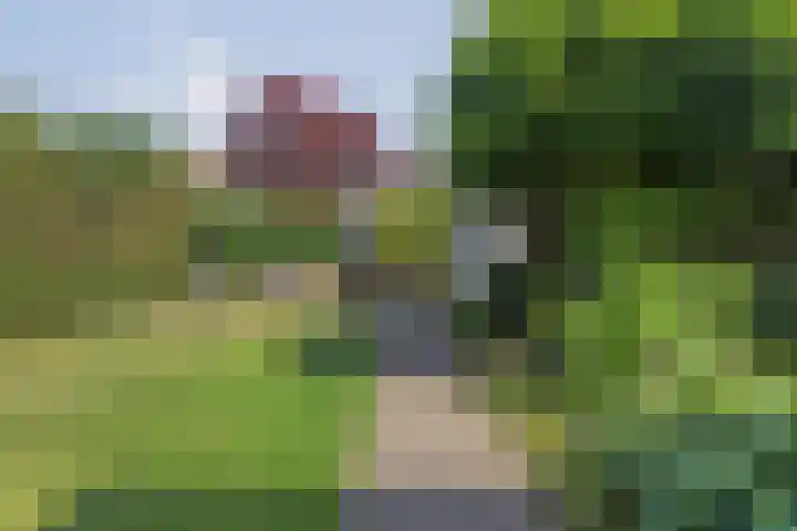 de Korenaar 81 Oirschot thumbnail 5