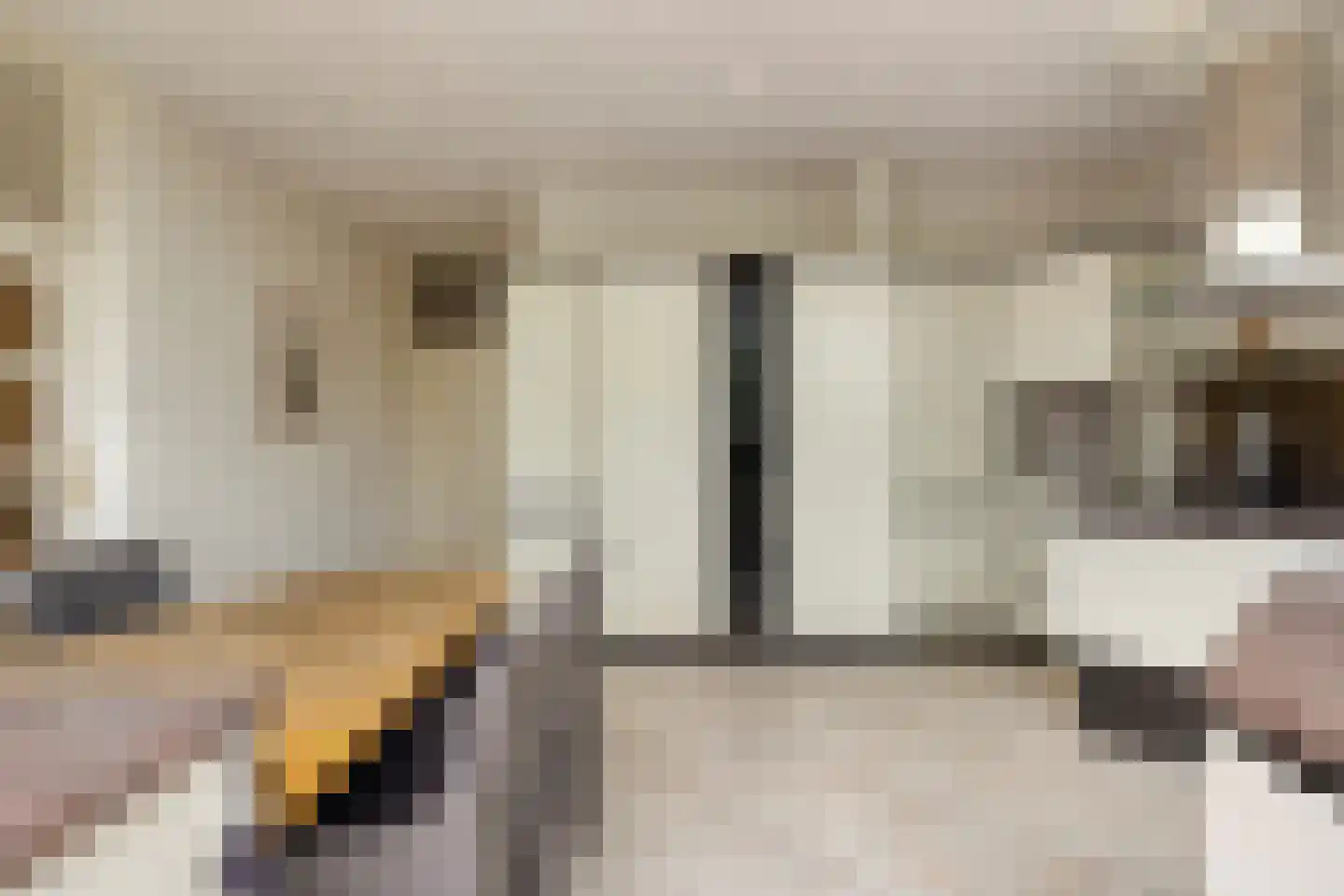 De Korenbeurs 11 Veenendaal thumbnail 34