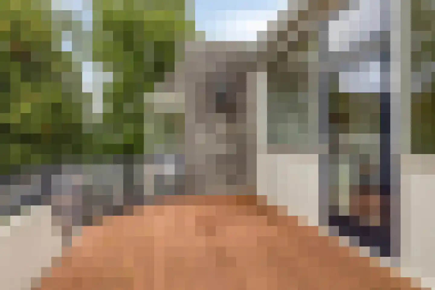 De Korenbeurs 11 Veenendaal thumbnail 36
