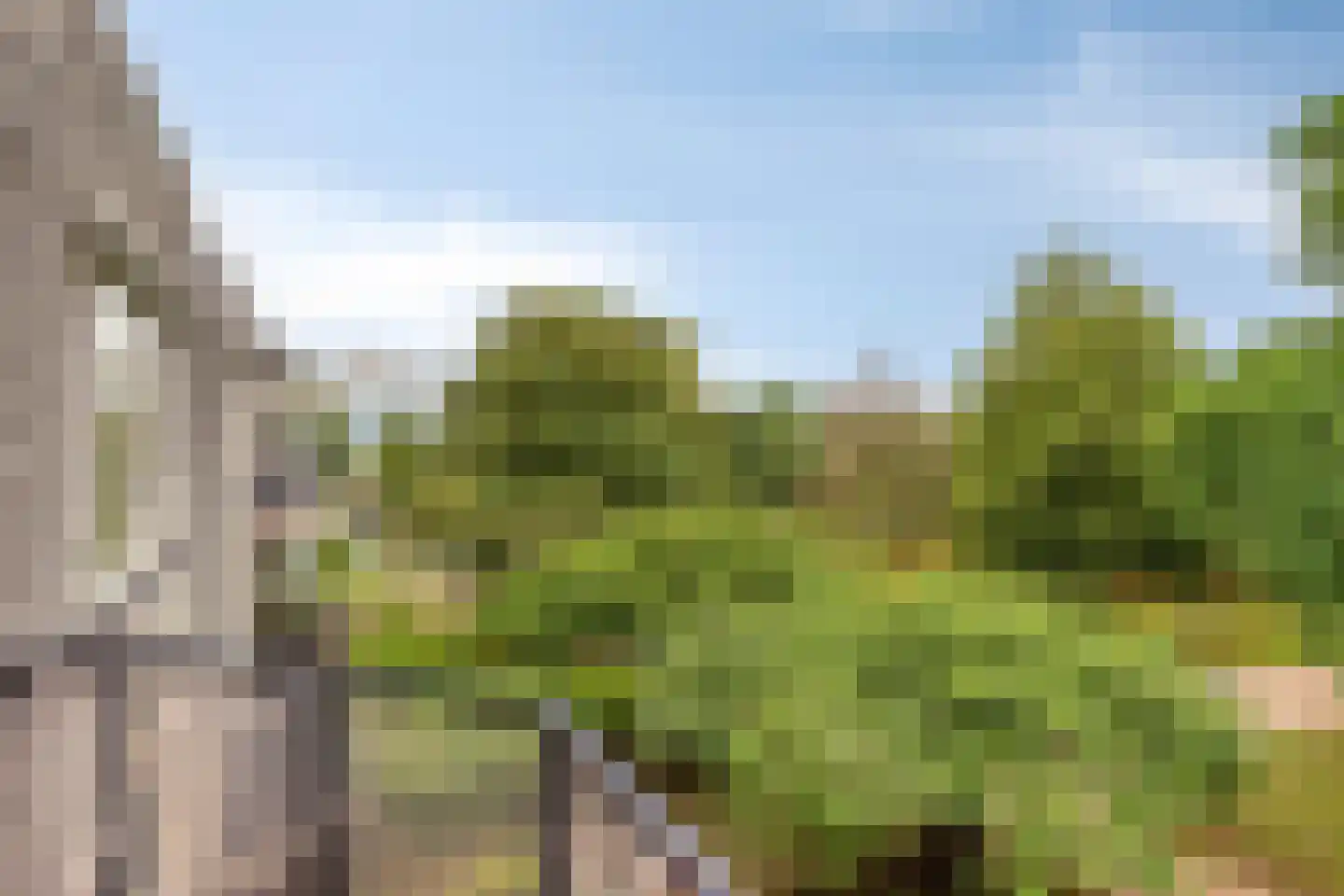 De Korenbeurs 11 Veenendaal thumbnail 37
