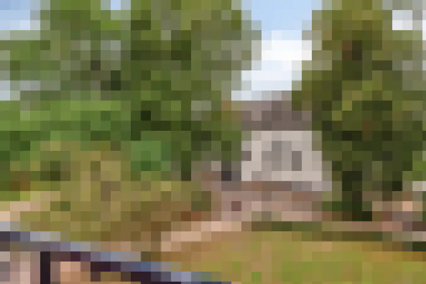 De Korenbeurs 11 Veenendaal thumbnail 38