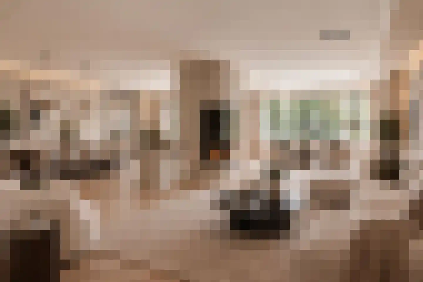 De Korenbeurs 11 Veenendaal thumbnail 4