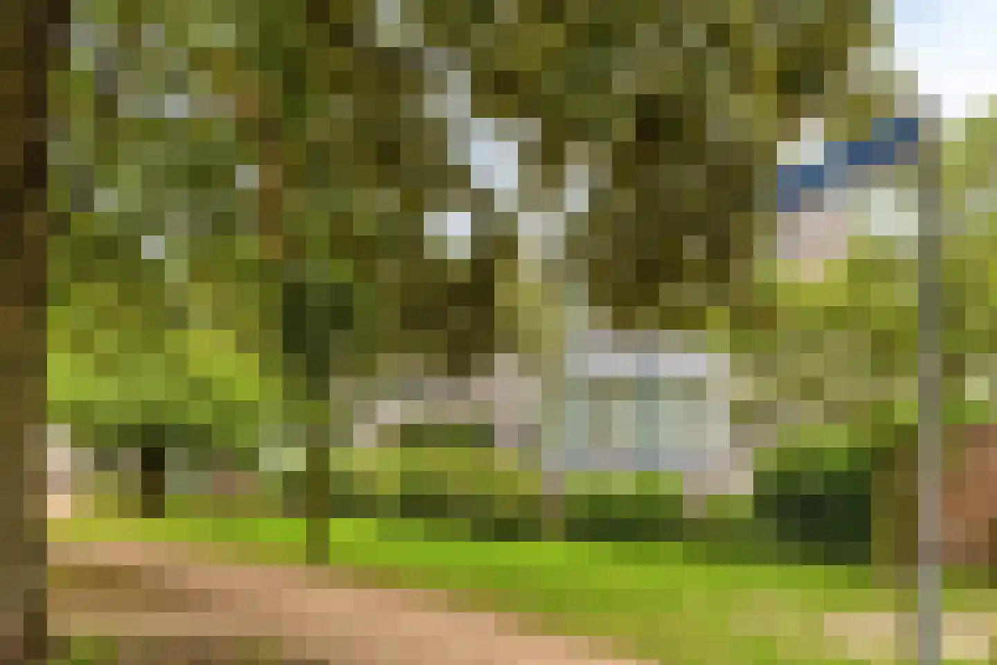 De Korenbeurs 11 Veenendaal thumbnail 73
