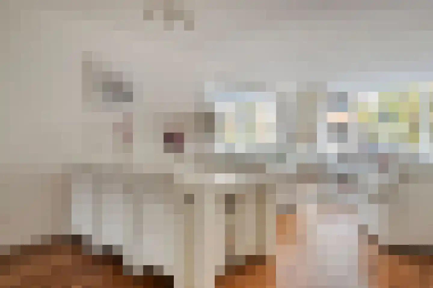 De Korenbeurs 16 Veenendaal thumbnail 12