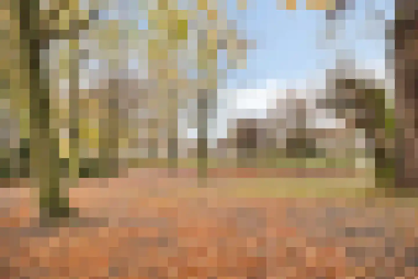 De Korenbeurs 16 Veenendaal thumbnail 25