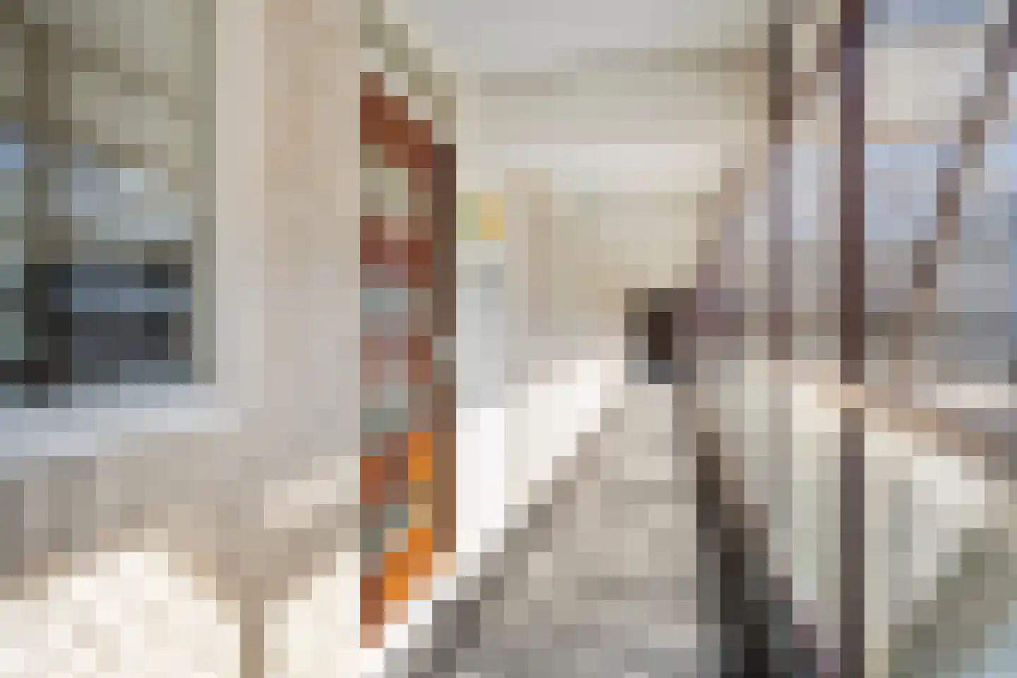 De Korenbeurs 24 Veenendaal thumbnail 9
