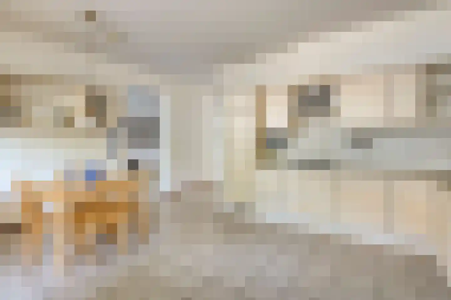 De Korenbeurs 3 Veenendaal thumbnail 18