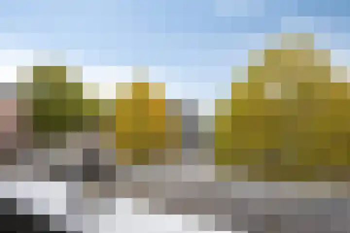 De Korenbeurs 40 Veenendaal thumbnail 23