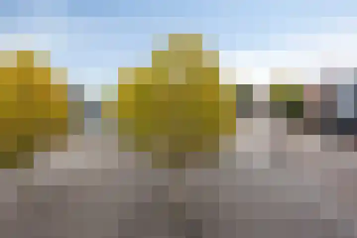 De Korenbeurs 40 Veenendaal thumbnail 24