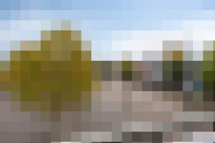 De Korenbeurs 40 Veenendaal thumbnail 25