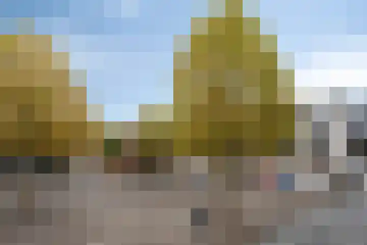 De Korenbeurs 40 Veenendaal thumbnail 32