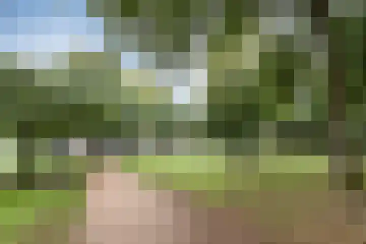 De Korenbeurs 40 Veenendaal thumbnail 37