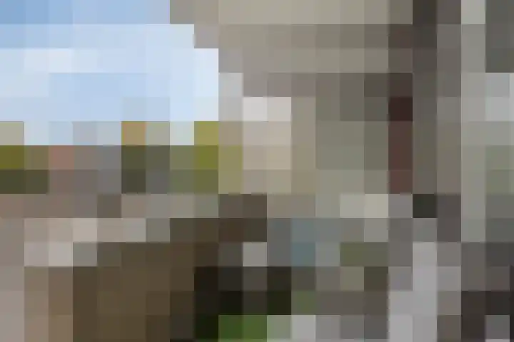 De Korenbeurs 40 Veenendaal thumbnail 5