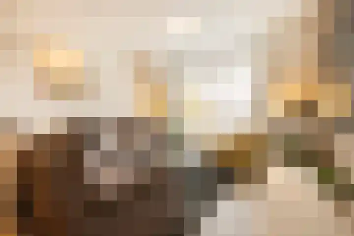 De Korenbeurs 64 Veenendaal thumbnail 6