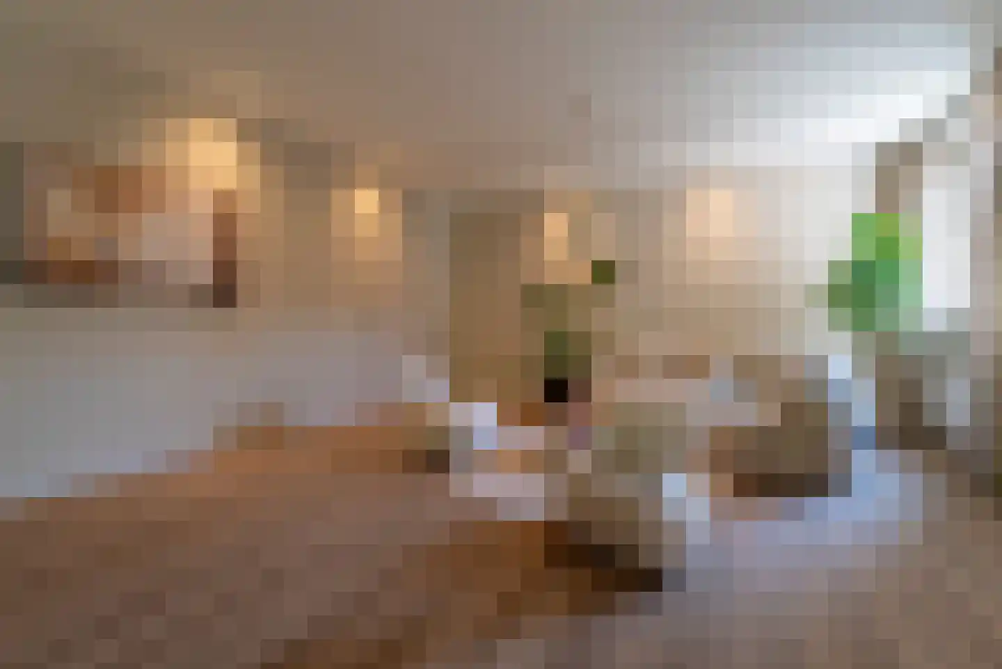 De Korenbeurs 7 Veenendaal thumbnail 12