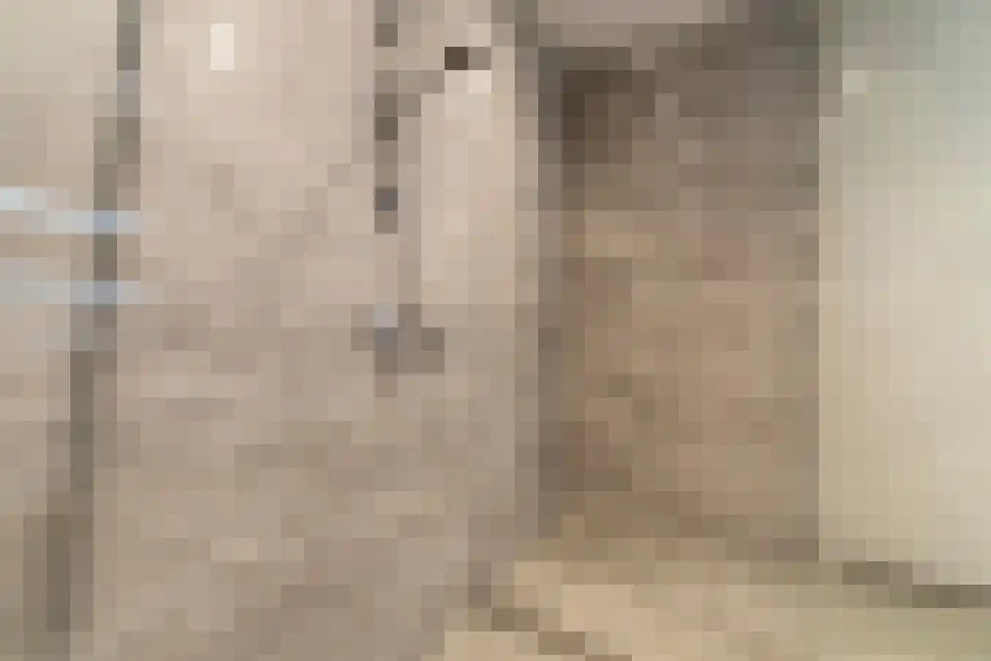 De Korenbeurs 7 Veenendaal thumbnail 50