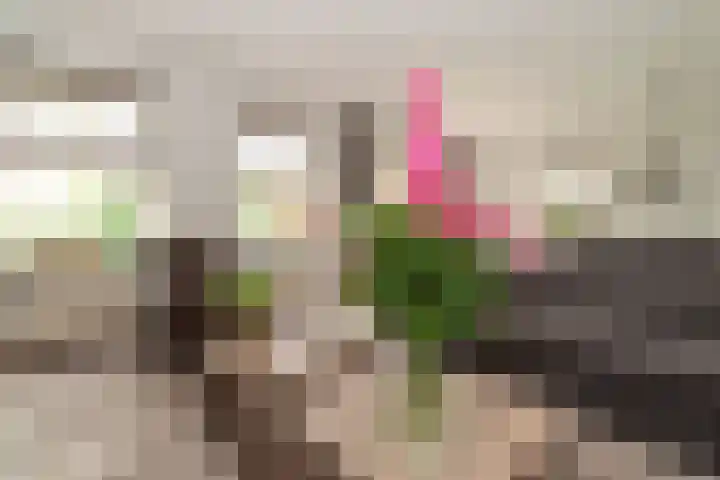 De Korenkamp 27 Bornerbroek thumbnail 11