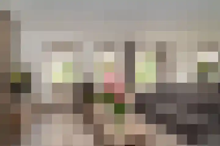 De Korenkamp 27 Bornerbroek thumbnail 12