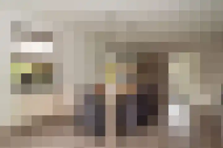 De Korenkamp 27 Bornerbroek thumbnail 13