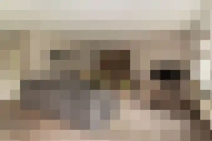 De Korenkamp 27 Bornerbroek thumbnail 15