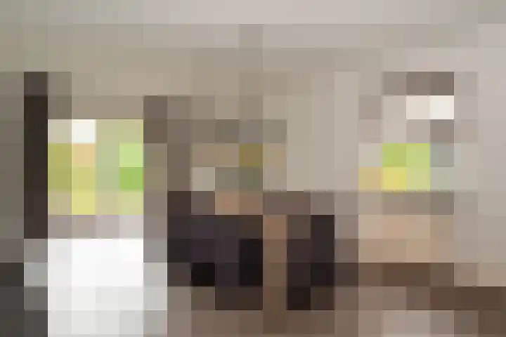 De Korenkamp 27 Bornerbroek thumbnail 17