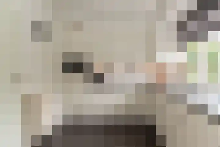De Korenkamp 27 Bornerbroek thumbnail 18