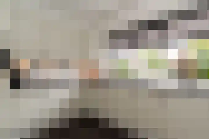 De Korenkamp 27 Bornerbroek thumbnail 19