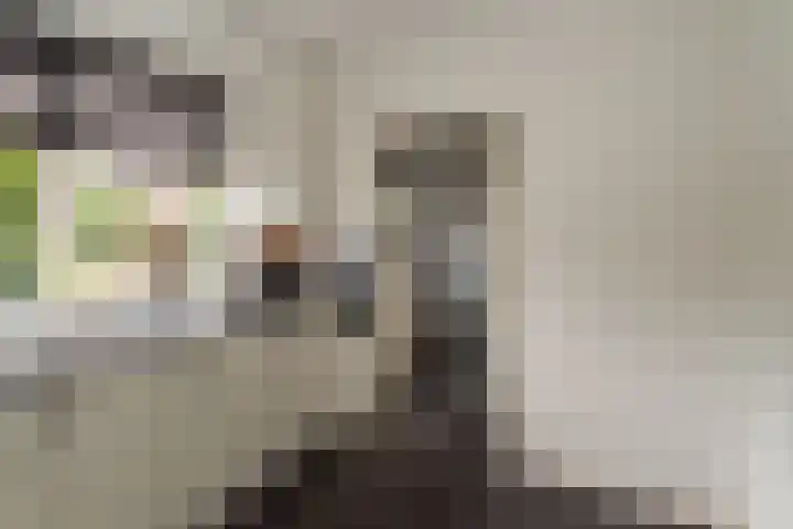 De Korenkamp 27 Bornerbroek thumbnail 20