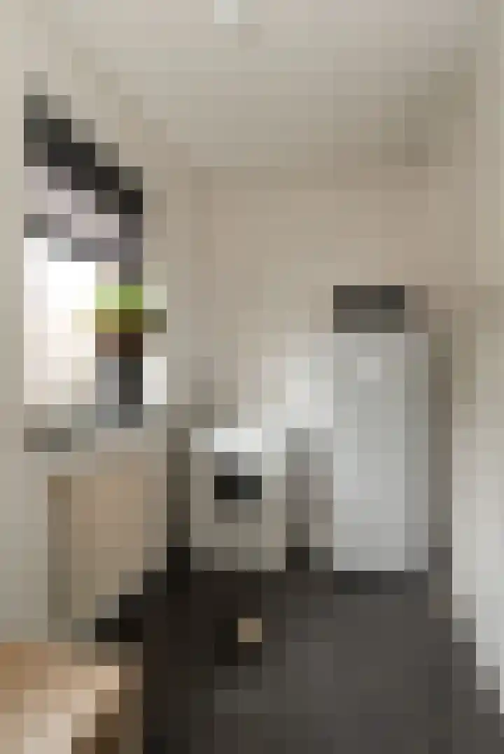 De Korenkamp 27 Bornerbroek thumbnail 22