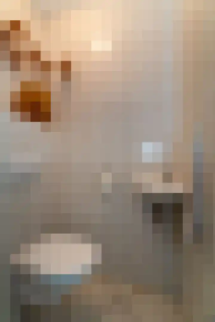 De Korenkamp 27 Bornerbroek thumbnail 23