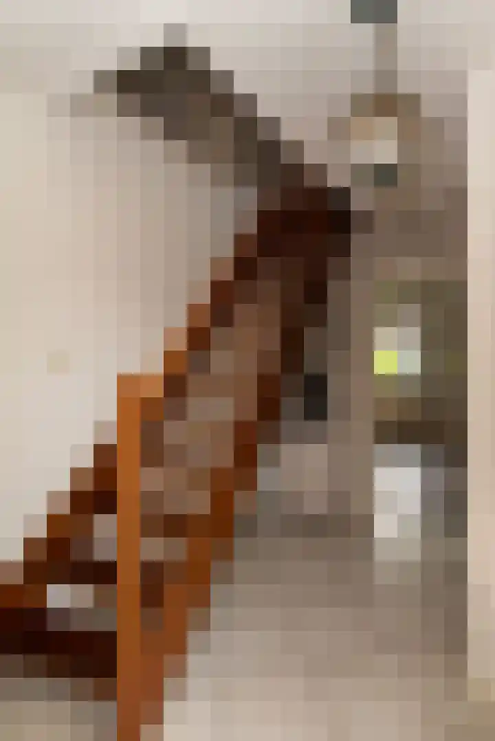 De Korenkamp 27 Bornerbroek thumbnail 24