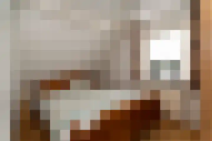De Korenkamp 27 Bornerbroek thumbnail 28